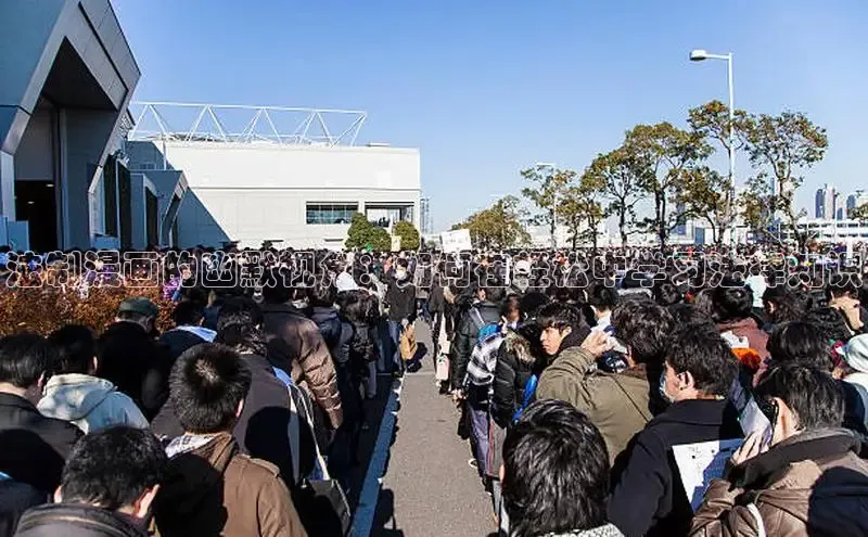 51动画网页版官网